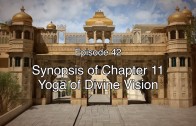 42 BGD Synopsis of Chapter 11