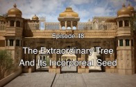 48 The Gita Decoded – The Extraordinary Tree and its Incorporeal Seed