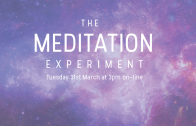 The Meditation Experiment Online